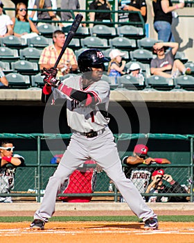 Michael De Leon, Hickory Crawdads