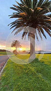 Michael Joseph Savage Memorial Park, Sunset, Auckland,