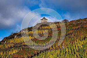 The `Michaelskapelle` in Mayschoss with vineyards in autumn