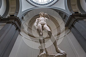 Michelangelo David statue in Accademia, Florence, Italy