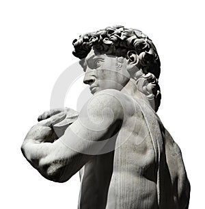 Michelangelo`s David with copy space