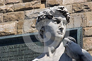 Michelangelo's David in Florence - Italy