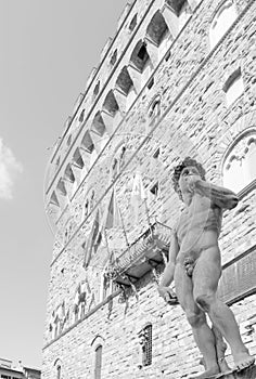 Michelangelo's David in the Piazza della Signoria