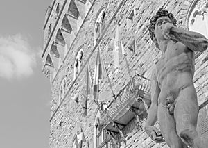 Michelangelo's David in the Piazza della Signoria in Florence