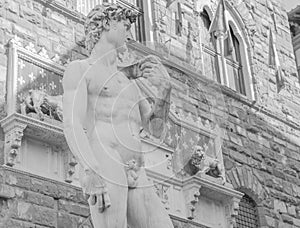 Michelangelo's David in the Piazza della Signoria in Florence