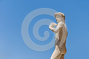 Michelangelo's David statue in Florence, Italy photo