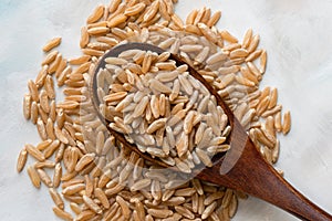 Ancient Kamut Grain on a Wood Spoon