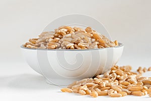 Ancient Kamut Grain in a Bowl