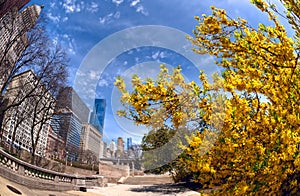 Michigan avenue in the spring