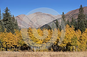 Michigan Creek Campground in Colorado with the changing of seasons.