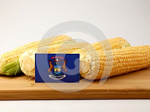 Michigan flag on a wooden panel with corn isolated on a white ba