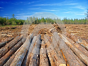 Michigan Logging Industry