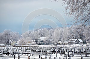 Michigan marina in winter photo