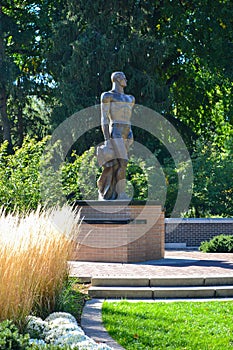 Michigan State University Campus