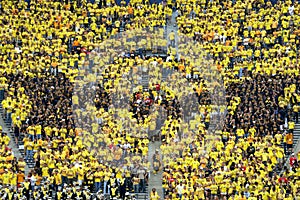 Michigan Wolverines M