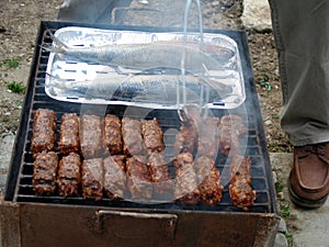 Mici and fish