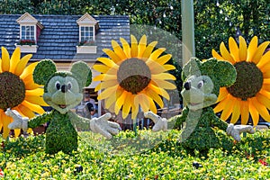 Mickey and Minnie mouse topiary display figure on display at Disney World
