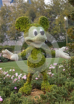 Mickey Mouse Topiary