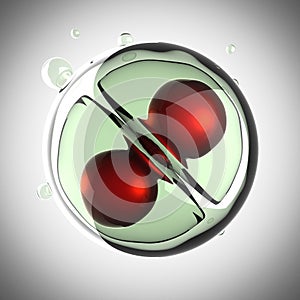 A micro cell division process