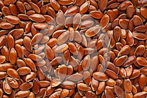 Micro Close-up of Organic Brown flaxseeds Linum usitatissimum or linseed Full Frame Background.