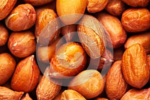 Micro Close-up of organic red-brown peanuts Arachis hypogaea Full Frame Background.