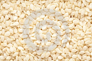 Micro Close-Up of Organic White  Sesame seedsSesamum indicum polished or white Til without shell Full-Frame Background.