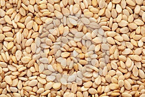 Micro Close-up of Organic White Sesame seedsSesamum indicum or white Til with shell Full-Frame Background.