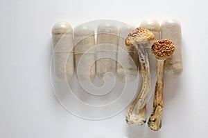 Micro dosing concept. Dry psilocybin mushrooms and natural herbal pills on white background.