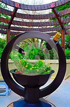 Micro Garden with Telescope.