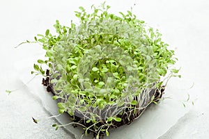 Micro green as a stimulant of immunity in the spring period on a white piece of paper. Close-up