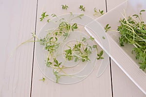 micro green watercress salad on white table