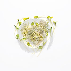 Micro greens arranged in shape of heart on white background. Sunflower sprouts, lucerne, microgreens. Flat lay. Nature