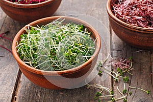 Micro greens sprouts of mustard in ceramic bowl on rustic wooden background