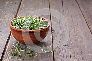 Micro greens sprouts of mustard on rustic wooden background