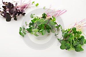 Micro greens variety at white background