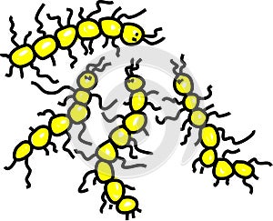 Micro organisms photo