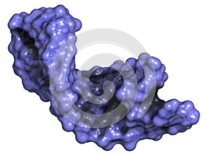 Micro RNA (miRNA, hsa-miR-133a) structure, computer model.