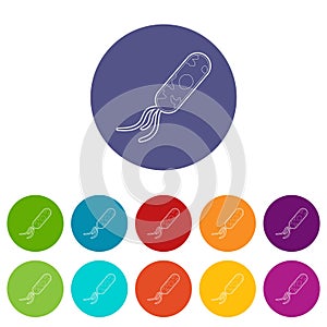 Microbe icon, isometric 3d style