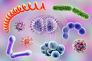 Microbes of different shapes photo