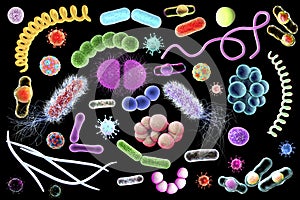 Microbes of different shapes photo