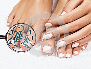 Microbes on female legs shows by mygnifying glass.