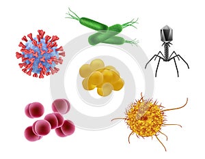 Microbes realistic. Biological cells different flu viruses vector illustration of microorganism