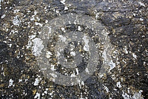 Microbial Mats, Orakei Korako Thermal Park, Hidden Valley, Taopo-Rotorua