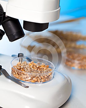 Microbiological Testing