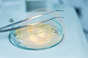 Microbiological Testing for Food