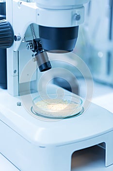 Microbiological Testing for Food