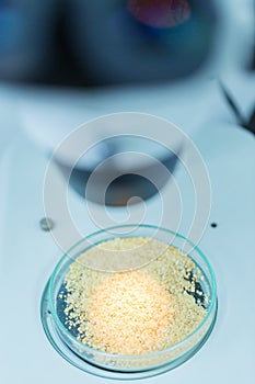 Microbiological Testing for Food