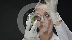 Microbiologist drops liquid from pipette on plant leaf, black background