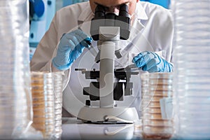 Microbiologist with microscope working with petri dish in the la