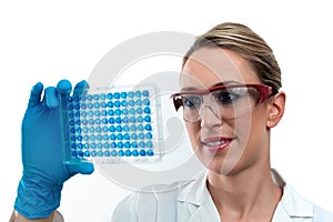 Microbiologist in the research lab holding a 96 well microplate with biological samples for clinical analysis